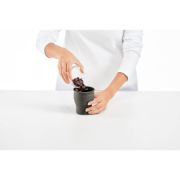 Снимка на Комплект форми за сладолед на клечка Lekue 4 броя, с капачета