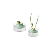 Снимка на Комплект за съхранение на свежи билки Brabantia Tasty+ Jade Green
