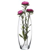 Снимка на Тумбеста ваза 26 см Botanica PASABAHCE