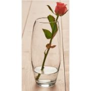 Снимка на Тумбеста ваза 26 см Botanica PASABAHCE