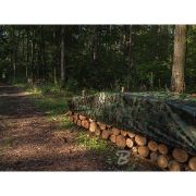 Снимка на Подсилено камуфлажно покривало 3x5 м 90 гр/м2 Camoforest BRADAS