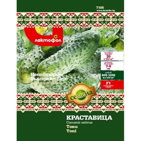 Снимка на Семена краставица Тони ЛАКТОФОЛ БОТАНИКА